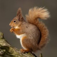 Freshfield Golf Club