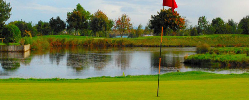 0000000404_0007_large